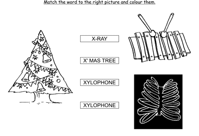 What are some words that start with X?