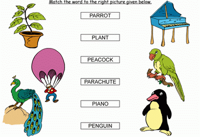 Kids Activity -Match the words Starting with p, Black & white Picture