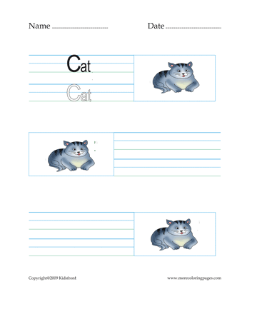 Cat Word Worksheet Sheet