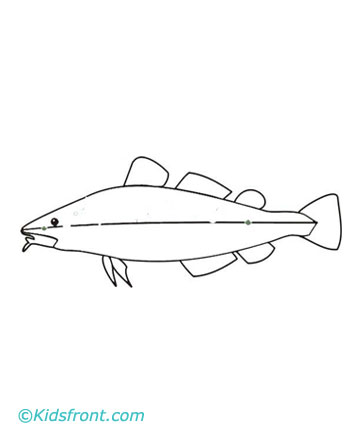 Codfish Coloring Pages Printable