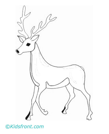 Deer Coloring Pages on Print Deer Coloring Pages Small Color Page Large Color Page Small B W