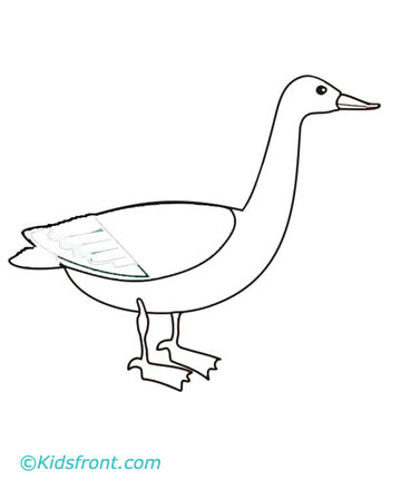 Goose Coloring Pages Printable Kids Baby