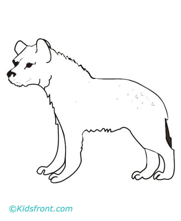 Hyena Coloring Pages Printable Kids Baby