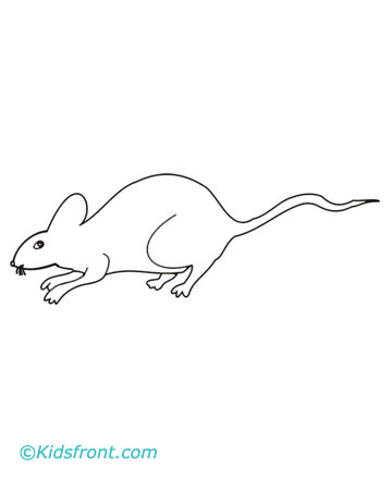 Print Rat Coloring Pages