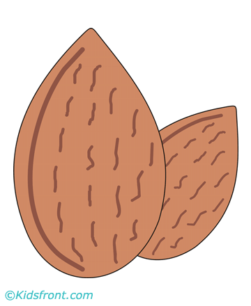 Almonds Coloring Pages