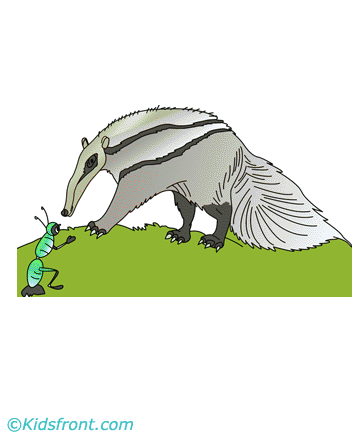 Anteater Coloring Pages