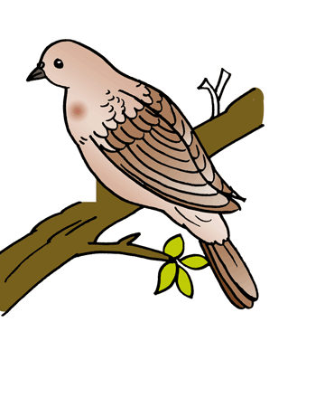 Dove 1 Coloring Pages