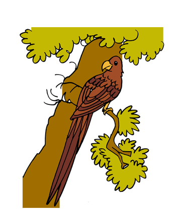 Eagle 2 Coloring Pages