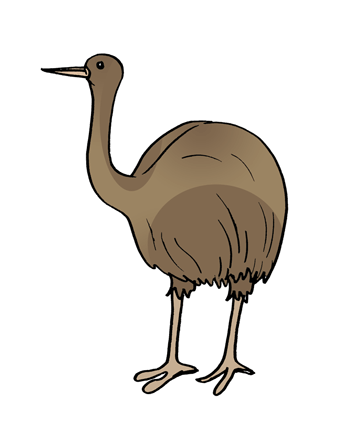 Emu 1 Coloring Pages
