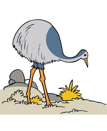 Emu 2 Coloring Pages