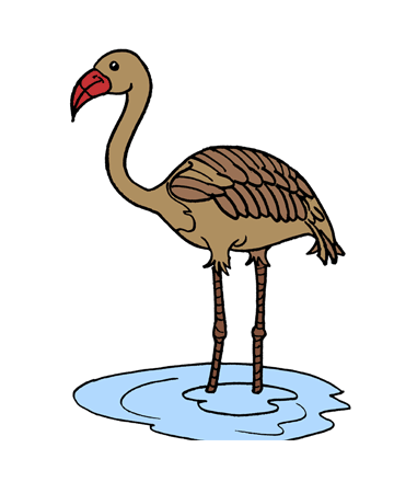 Flamingo 1 Coloring Pages