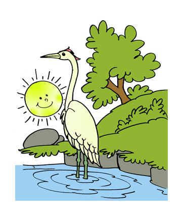 Heron 1 Coloring Pages