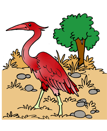 Heron 2 Coloring Pages