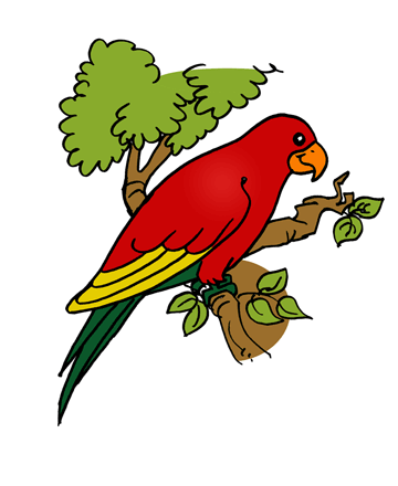 Parrot 1 Coloring Pages