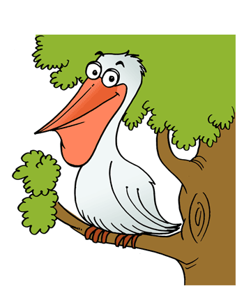 Pelican Coloring Pages