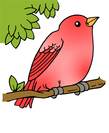 Robin 1 Coloring Pages