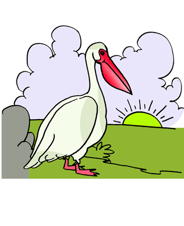 Spoonbill 2 Coloring Pages