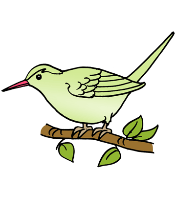 Tailor Bird Coloring Pages