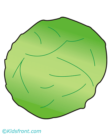 Cabbage Coloring Pages