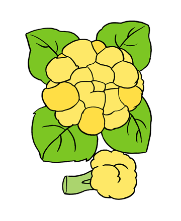 Cauliflower1 Coloring Pages