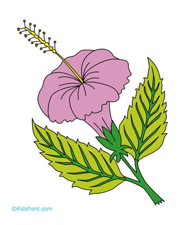 Pink-flower Coloring Pages