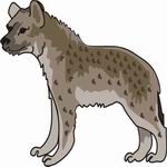 Hyena Coloring Pages