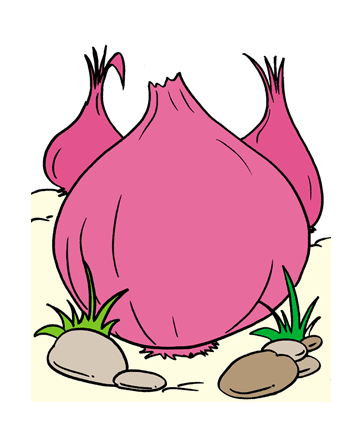 Onion1 Coloring Pages