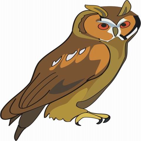 Owl Coloring Pages