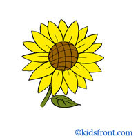 Sunflower Drawing Easy For Kids