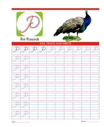 Capital Cursive Letters P Sheet