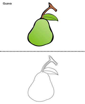 Featured image of post How To Draw Guava Easy What other animals do your kids want to learn