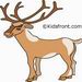 Elk