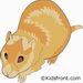 Hamster