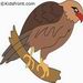 Hawk