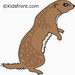 Otter