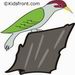 Woodpecker