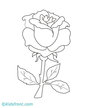 Rose-Flower Coloring Pages Printable