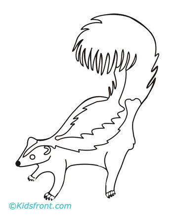 Skunk Coloring Pages Printable