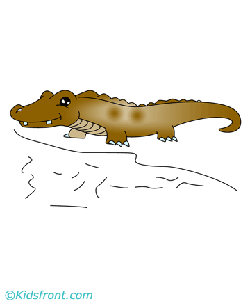 Alligator Coloring Pages