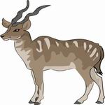 Antelope Coloring Pages