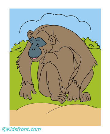 Old Ape Coloring Pages