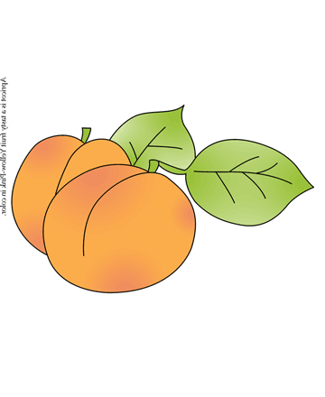 Yellow Apricot Coloring Pages