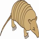 Armadillo Coloring Pages