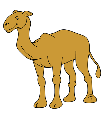 Baby Camel Coloring Pages