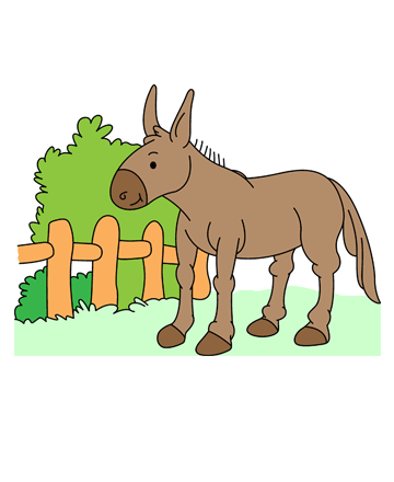 Baby Donkey Coloring Pages