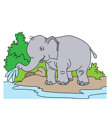 Baby Elephant Coloring Pages