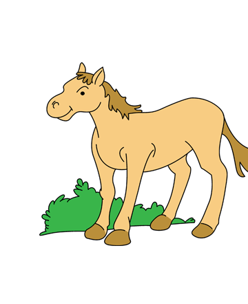 Baby Horse Coloring Pages