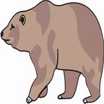 Bear Coloring Pages