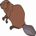 Beaver Coloring Pages