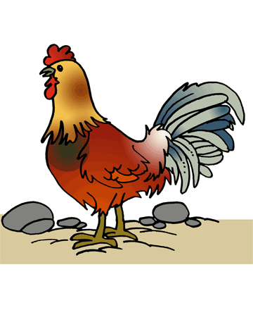 Chicken 1 Coloring Pages